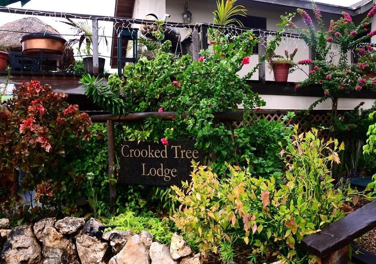Crooкed Tree Lodge Belize Crooked Tree Exterior foto